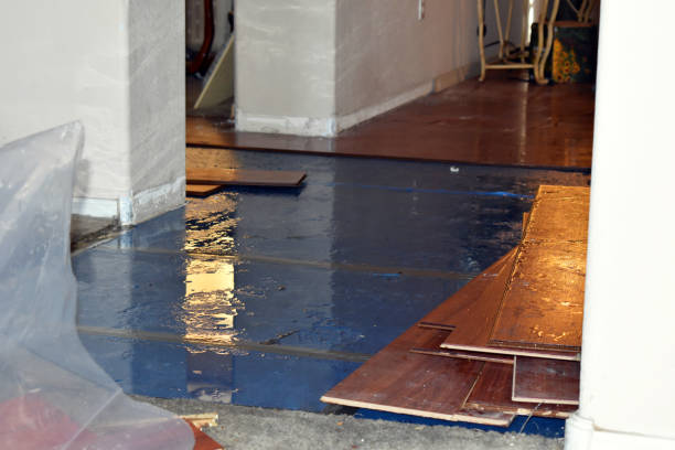 Professional Emergency Water Damage Restoration technician working in Davey, NE